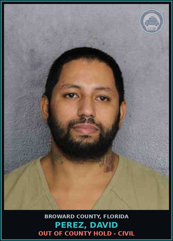 Booking mugshot of PEREZ, DAVID in Broward County