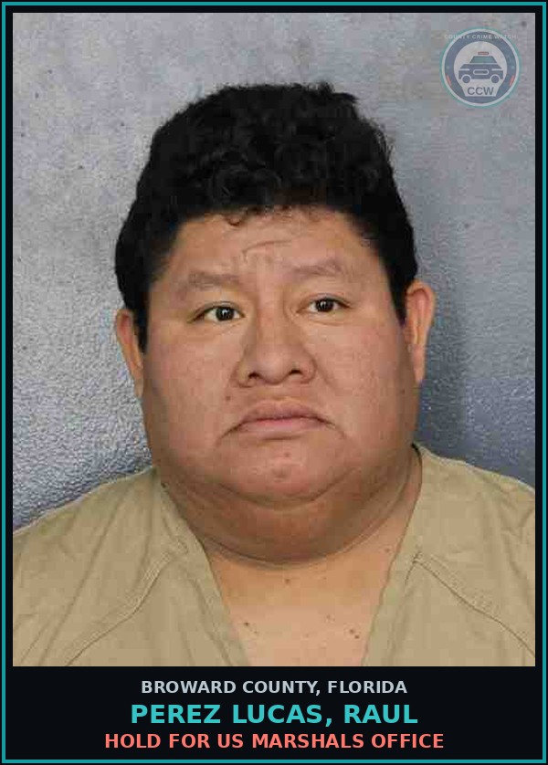 Booking mugshot of PEREZ LUCAS, RAUL in Broward County
