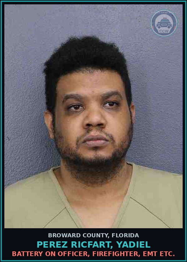 Booking mugshot of PEREZ RICFART, YADIEL in Broward County