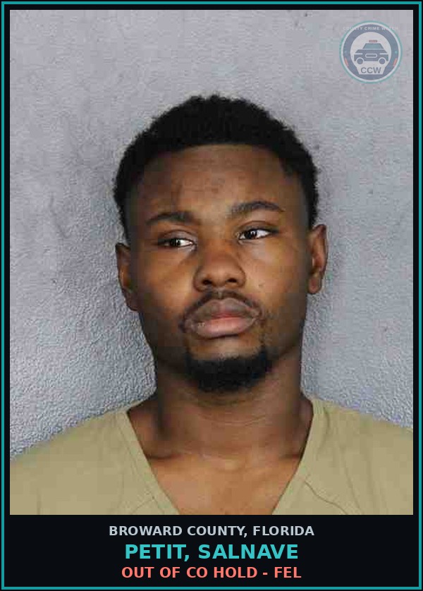 Booking mugshot of PETIT, SALNAVE in Broward County