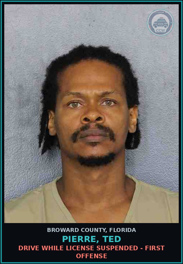 Booking mugshot of PIERRE, TED in Broward County