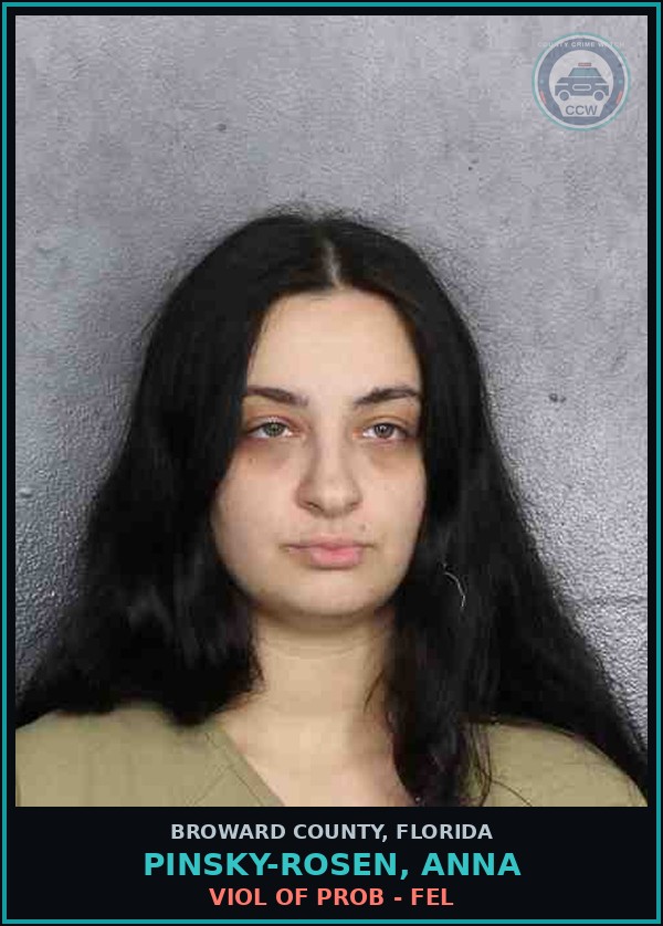 Booking mugshot of PINSKY-ROSEN, ANNA in Broward County