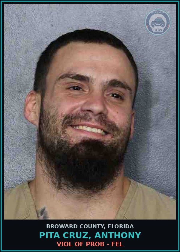 Booking mugshot of PITA CRUZ, ANTHONY in Broward County
