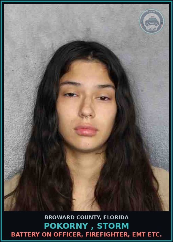 Booking mugshot of POKORNY , STORM in Broward County