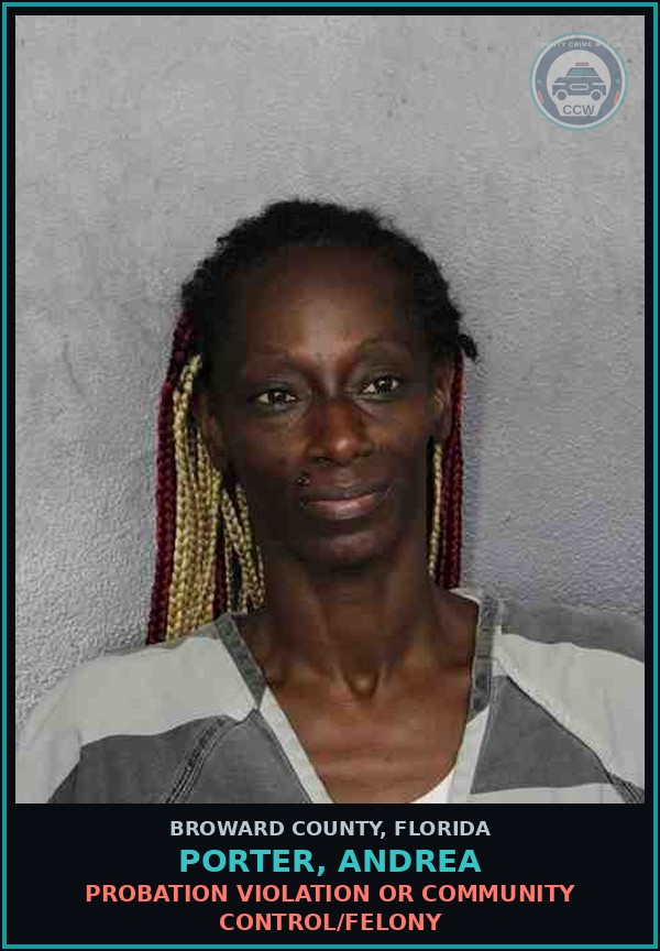 Booking mugshot of PORTER, ANDREA in Broward County