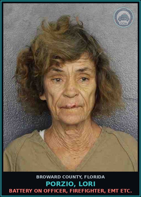 Booking mugshot of PORZIO, LORI in Broward County