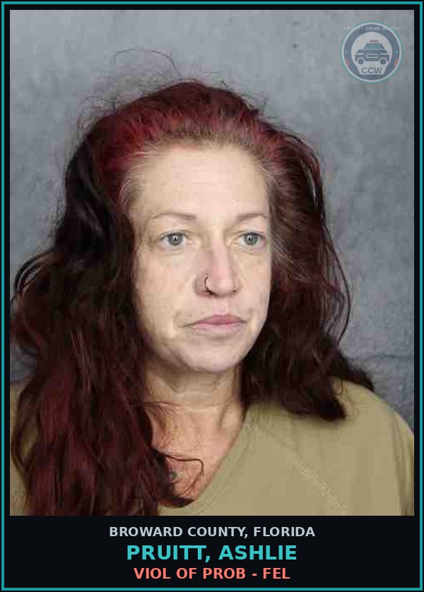 Booking mugshot of PRUITT, ASHLIE in Broward County