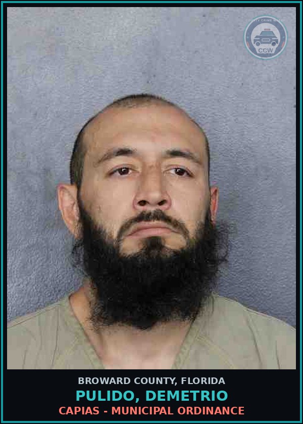 Booking mugshot of PULIDO, DEMETRIO in Broward County