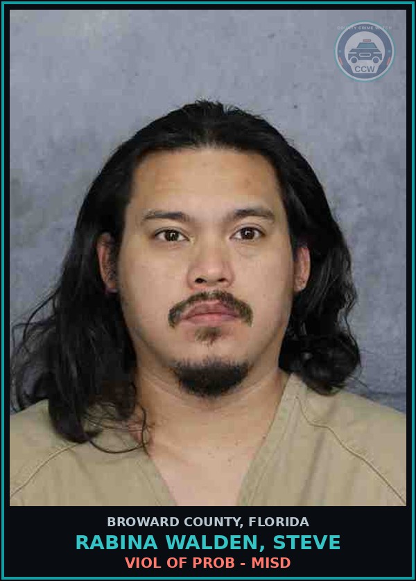 Booking mugshot of RABINA WALDEN, STEVE in Broward County
