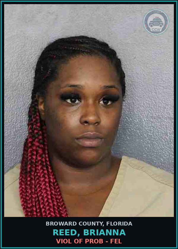 Booking mugshot of REED, BRIANNA in Broward County