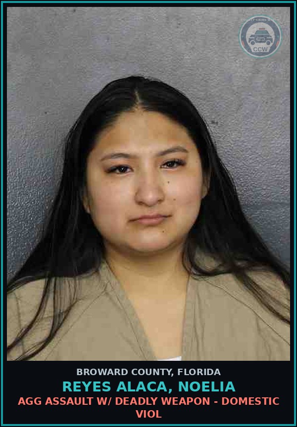 Booking mugshot of REYES ALACA, NOELIA in Broward County