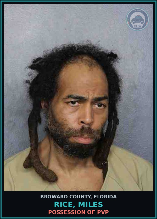 Booking mugshot of RICE, MILES in Broward County
