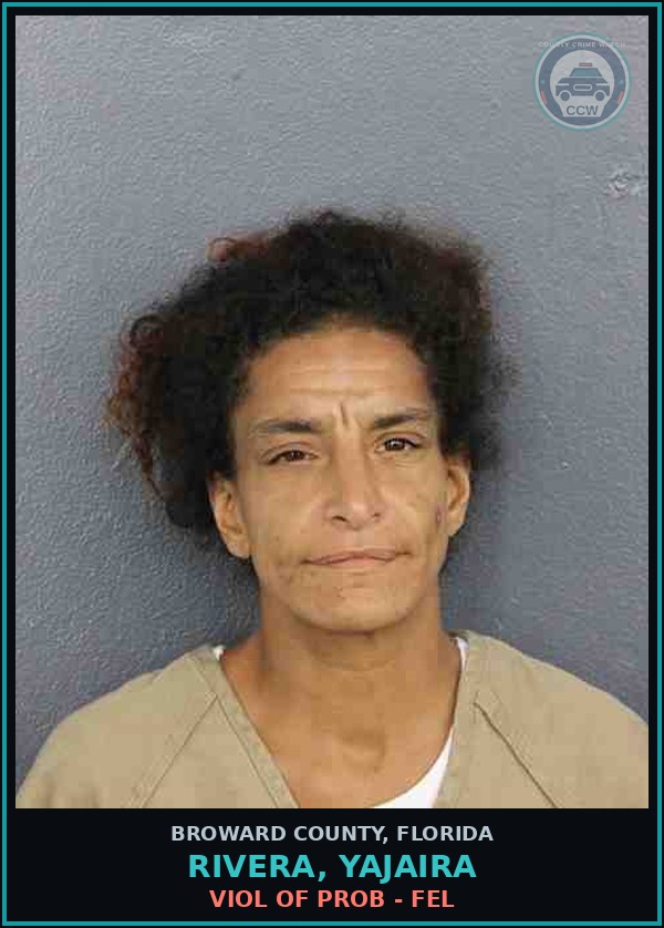 Booking mugshot of RIVERA, YAJAIRA in Broward County