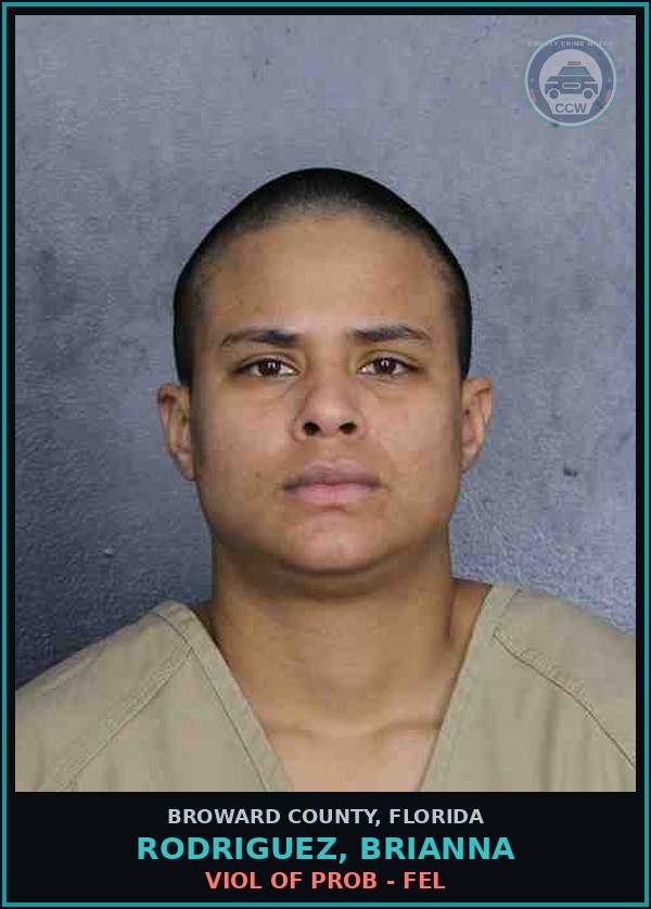 Booking mugshot of RODRIGUEZ, BRIANNA in Broward County