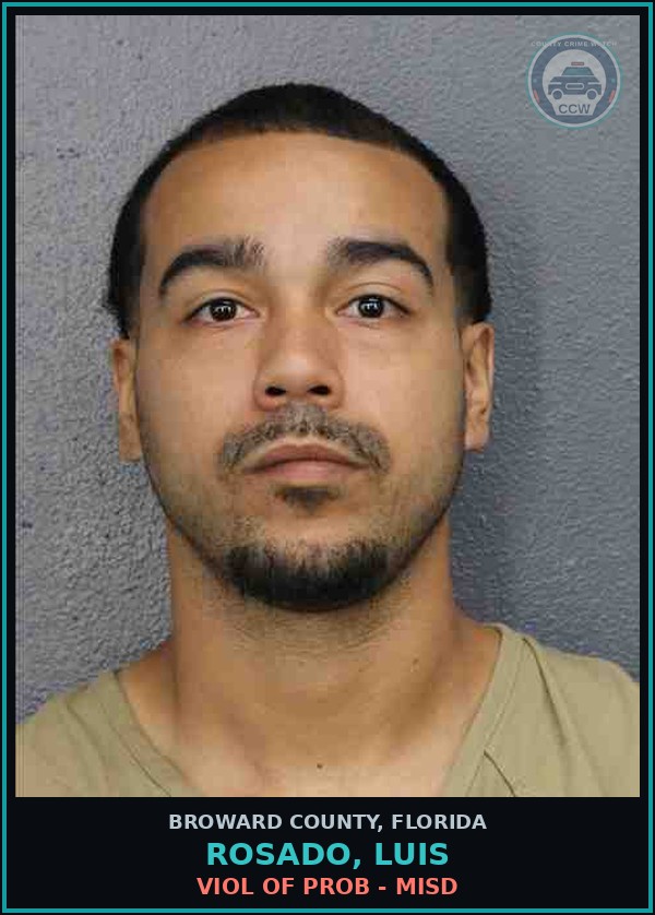 Booking mugshot of ROSADO, LUIS in Broward County