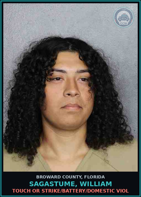 Booking mugshot of SAGASTUME, WILLIAM in Broward County