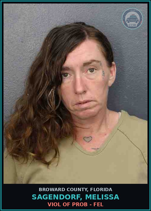 Booking mugshot of SAGENDORF, MELISSA in Broward County