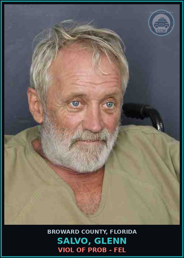 Booking mugshot of SALVO, GLENN in Broward County