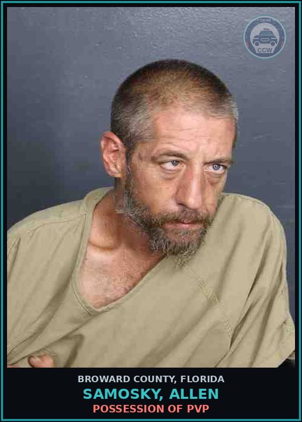 Booking mugshot of SAMOSKY, ALLEN in Broward County