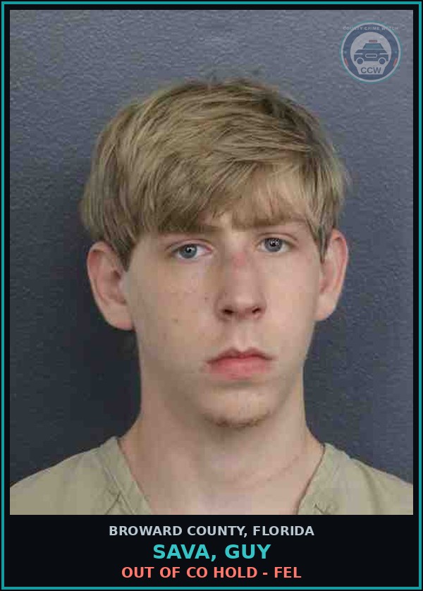 Booking mugshot of SAVA, GUY in Broward County