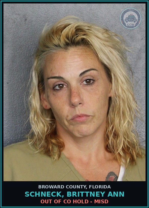 Booking mugshot of SCHNECK, BRITTNEY ANN in Broward County