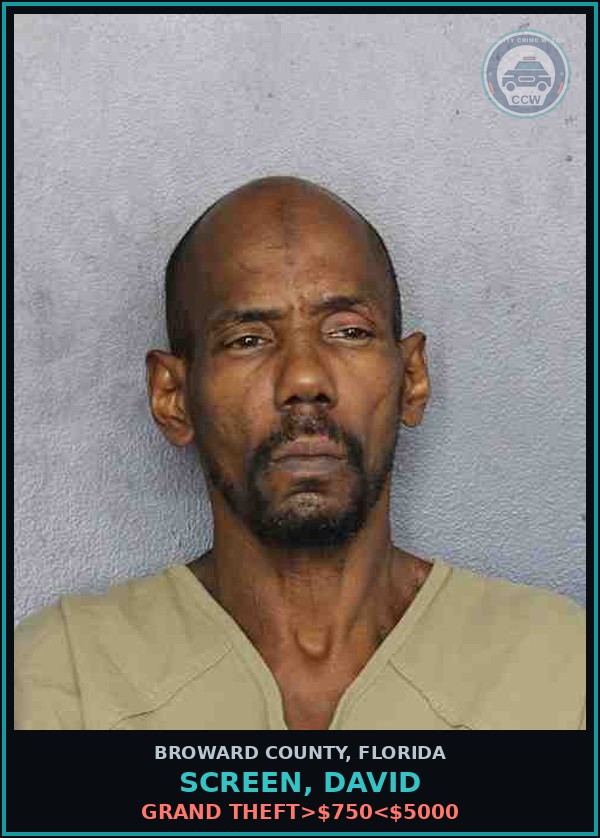 Booking mugshot of SCREEN, DAVID in Broward County