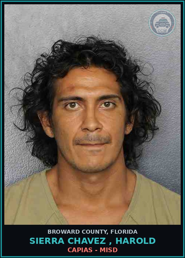 Booking mugshot of SIERRA CHAVEZ , HAROLD in Broward County
