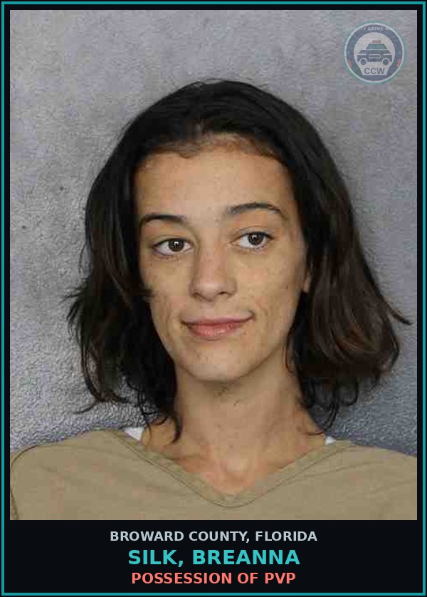 Booking mugshot of SILK, BREANNA in Broward County