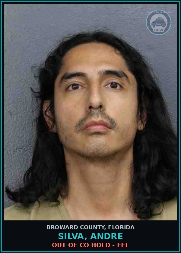 Booking mugshot of SILVA, ANDRE in Broward County