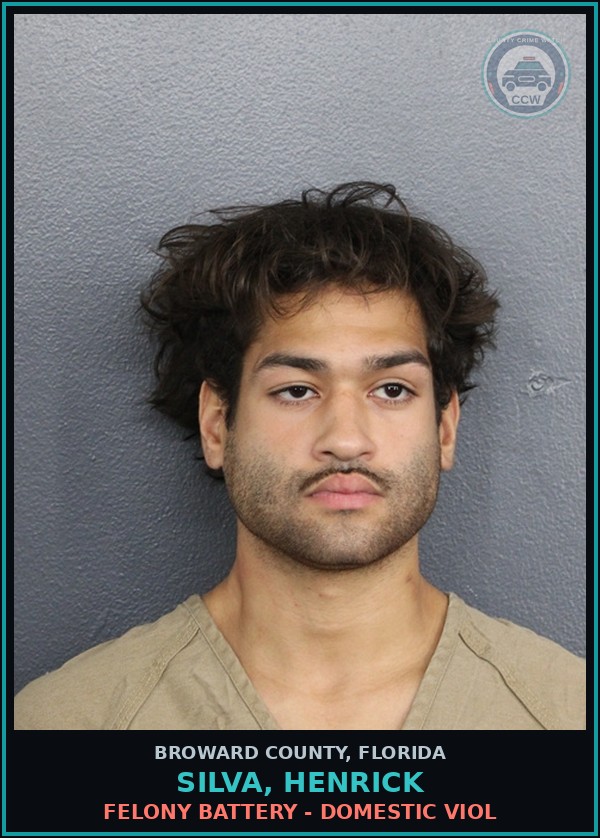 Booking mugshot of SILVA, HENRICK in Broward County