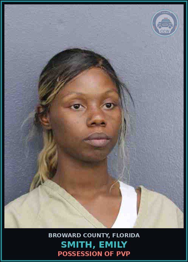 Booking mugshot of SMITH, EMILY in Broward County
