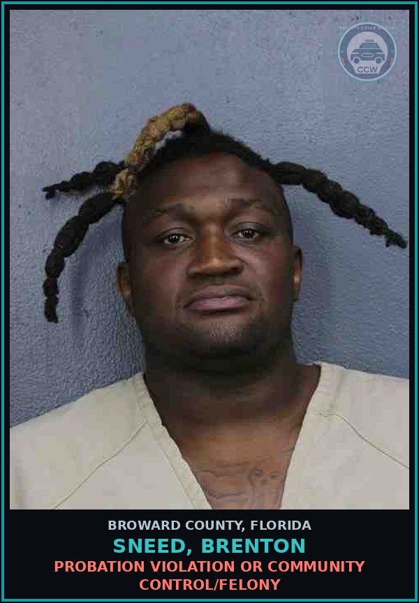 Booking mugshot of SNEED, BRENTON in Broward County
