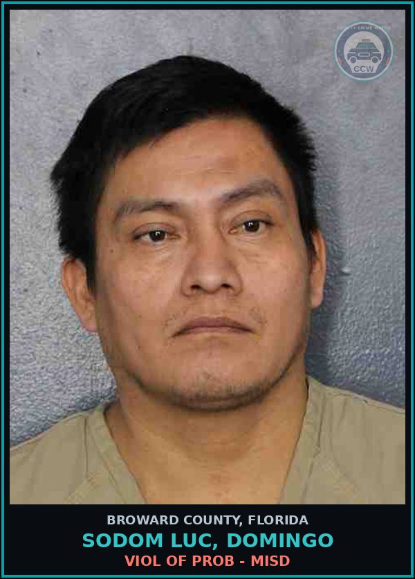Booking mugshot of SODOM LUC, DOMINGO in Broward County
