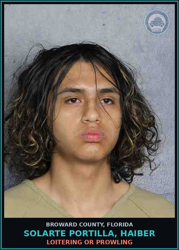 Booking mugshot of SOLARTE PORTILLA, HAIBER in Broward County