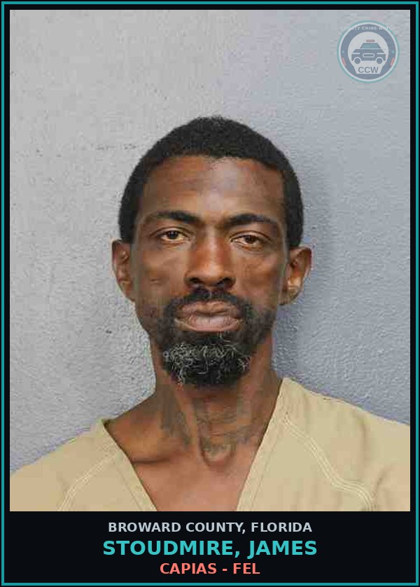 Booking mugshot of STOUDMIRE, JAMES in Broward County