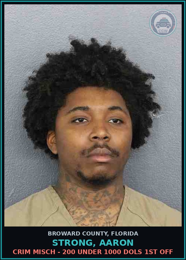 Booking mugshot of STRONG, AARON in Broward County