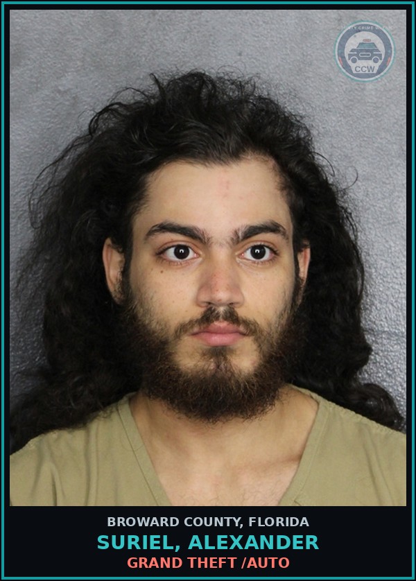 Booking mugshot of SURIEL, ALEXANDER in Broward County