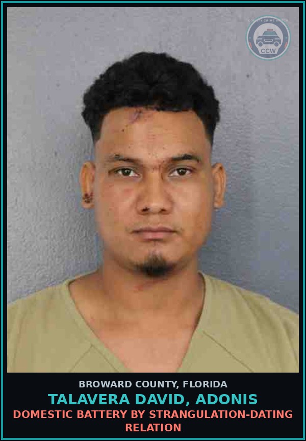 Booking mugshot of TALAVERA DAVID, ADONIS in Broward County