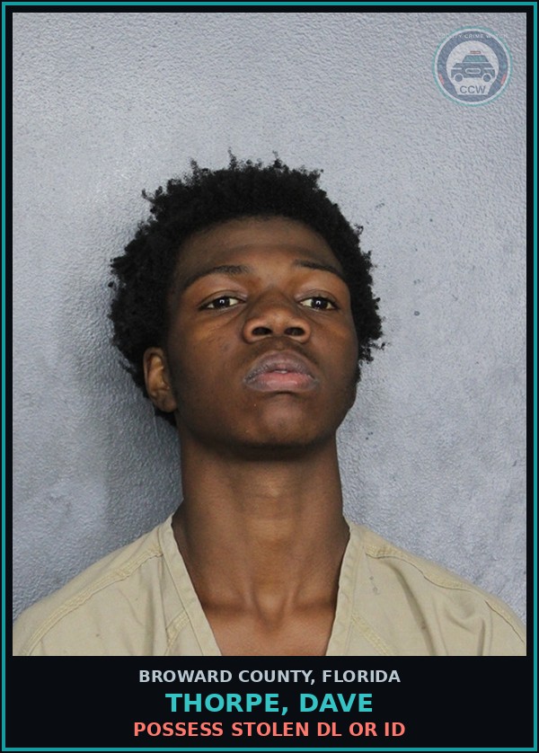 Booking mugshot of THORPE, DAVE in Broward County