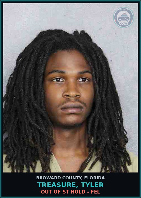 Booking mugshot of TREASURE, TYLER in Broward County