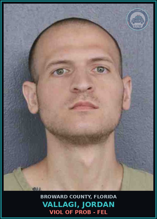 Booking mugshot of VALLAGI, JORDAN in Broward County
