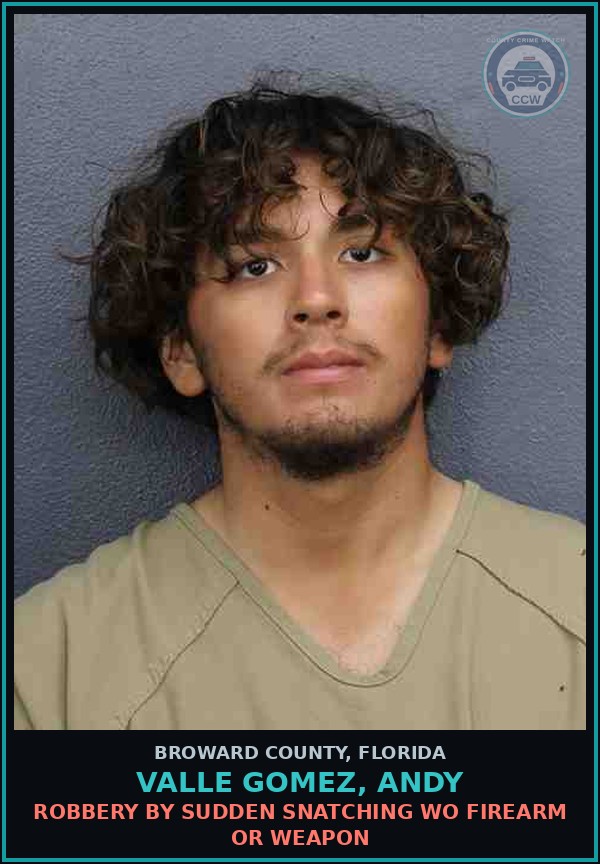Booking mugshot of VALLE GOMEZ, ANDY in Broward County