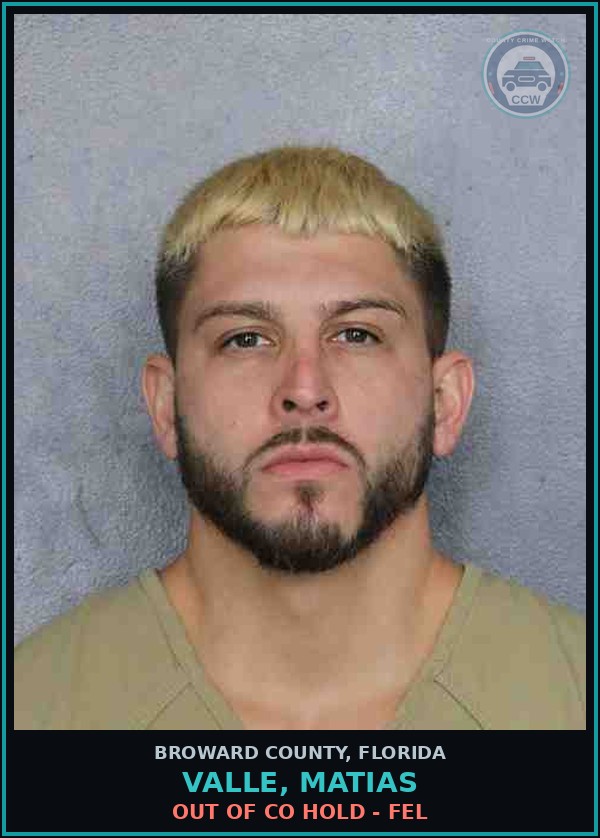 Booking mugshot of VALLE, MATIAS in Broward County