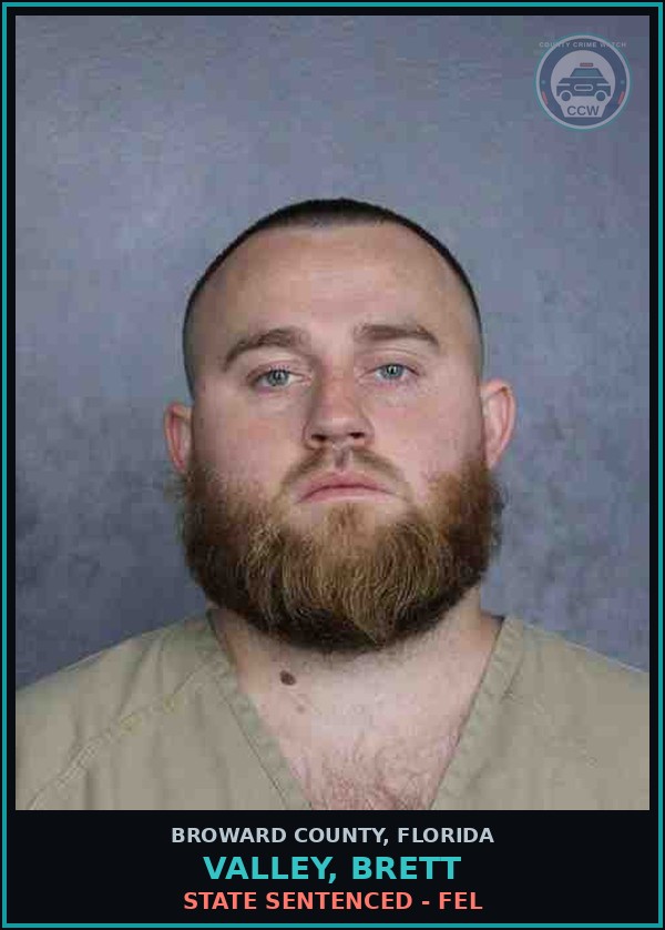 Booking mugshot of VALLEY, BRETT in Broward County