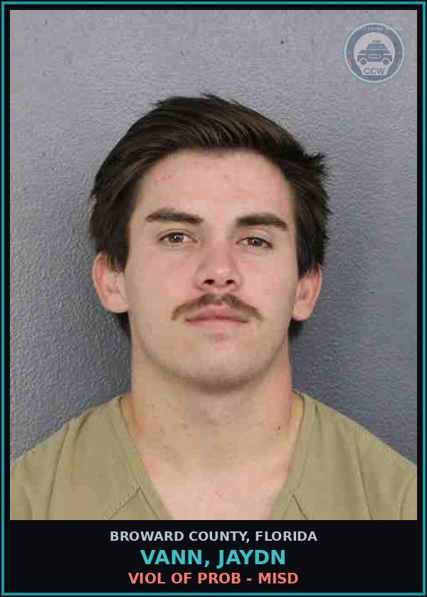 Booking mugshot of VANN, JAYDN in Broward County