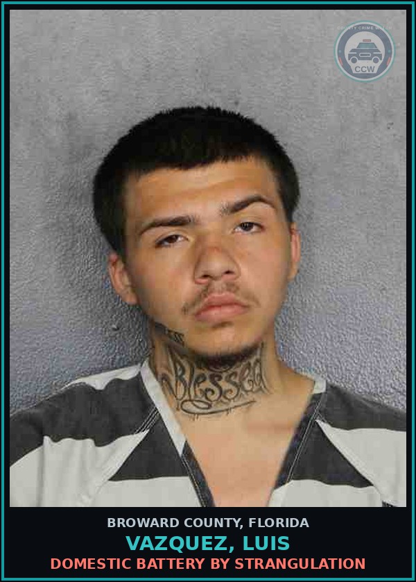 Booking mugshot of VAZQUEZ, LUIS in Broward County