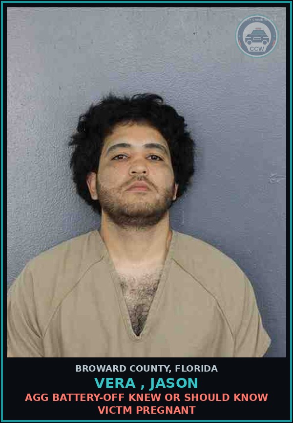 Booking mugshot of VERA , JASON in Broward County