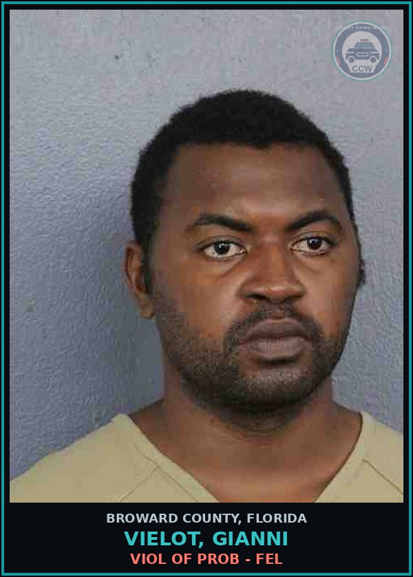 Booking mugshot of VIELOT, GIANNI in Broward County