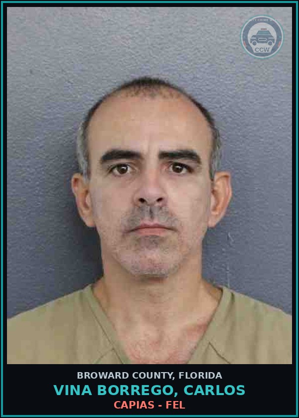 Booking mugshot of VINA BORREGO, CARLOS in Broward County