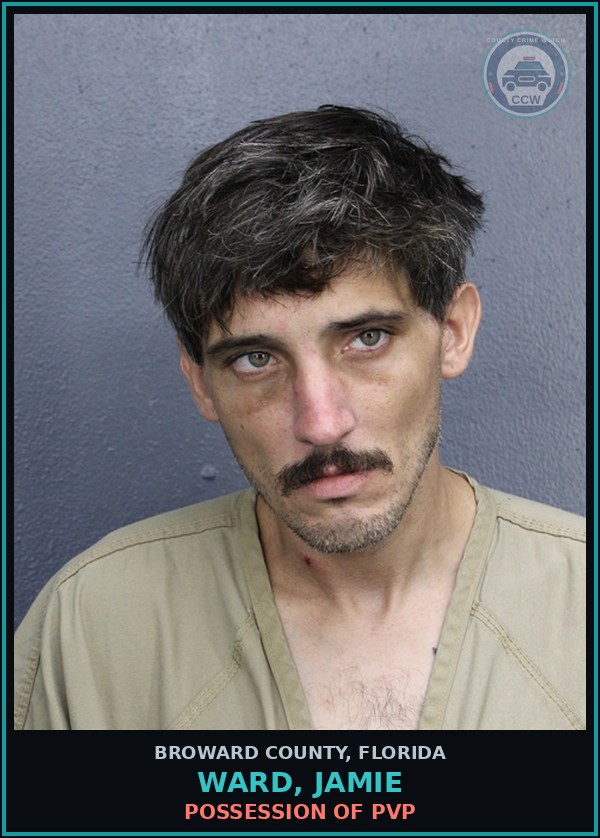Booking mugshot of WARD, JAMIE in Broward County
